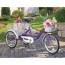 Adult Tricycle with Two Baskets, , large