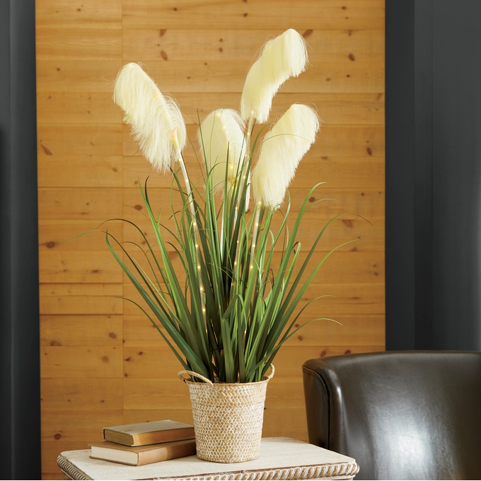 Lit Pampas Grass, , large