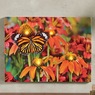Lit Monarch Butterfly Wall Art, , large