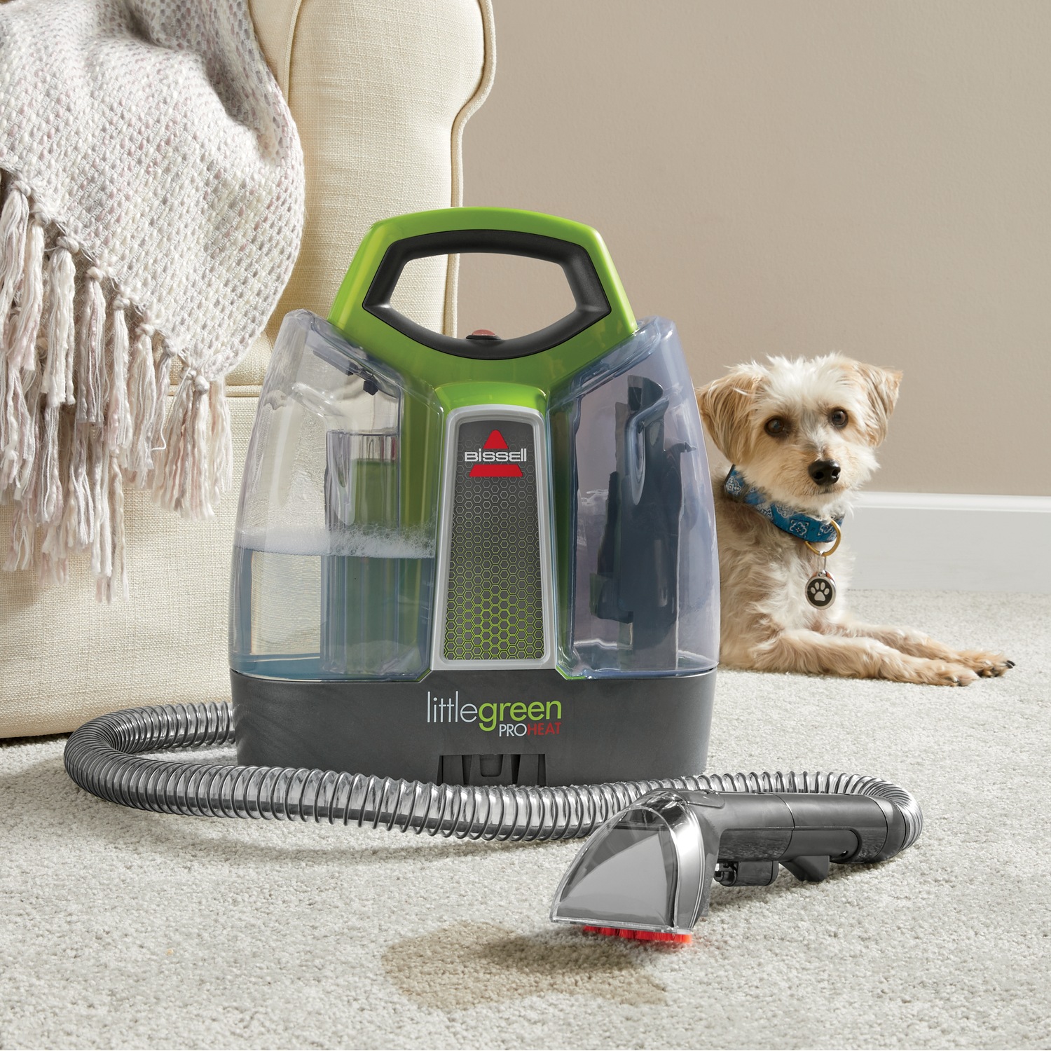 Bissell little green proheat online