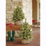 Set Of 2 Christmas Trees In Wire Basket, , large