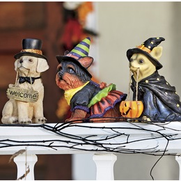 Home At Five Joining Forces | Ginny's Upgrade your space with home decorations. Home decorations add the finishing touch to your favorite rooms. Make your house feel like a home with personality-filled .