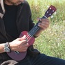 Maple Ukulele, , large