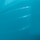 Island Blue