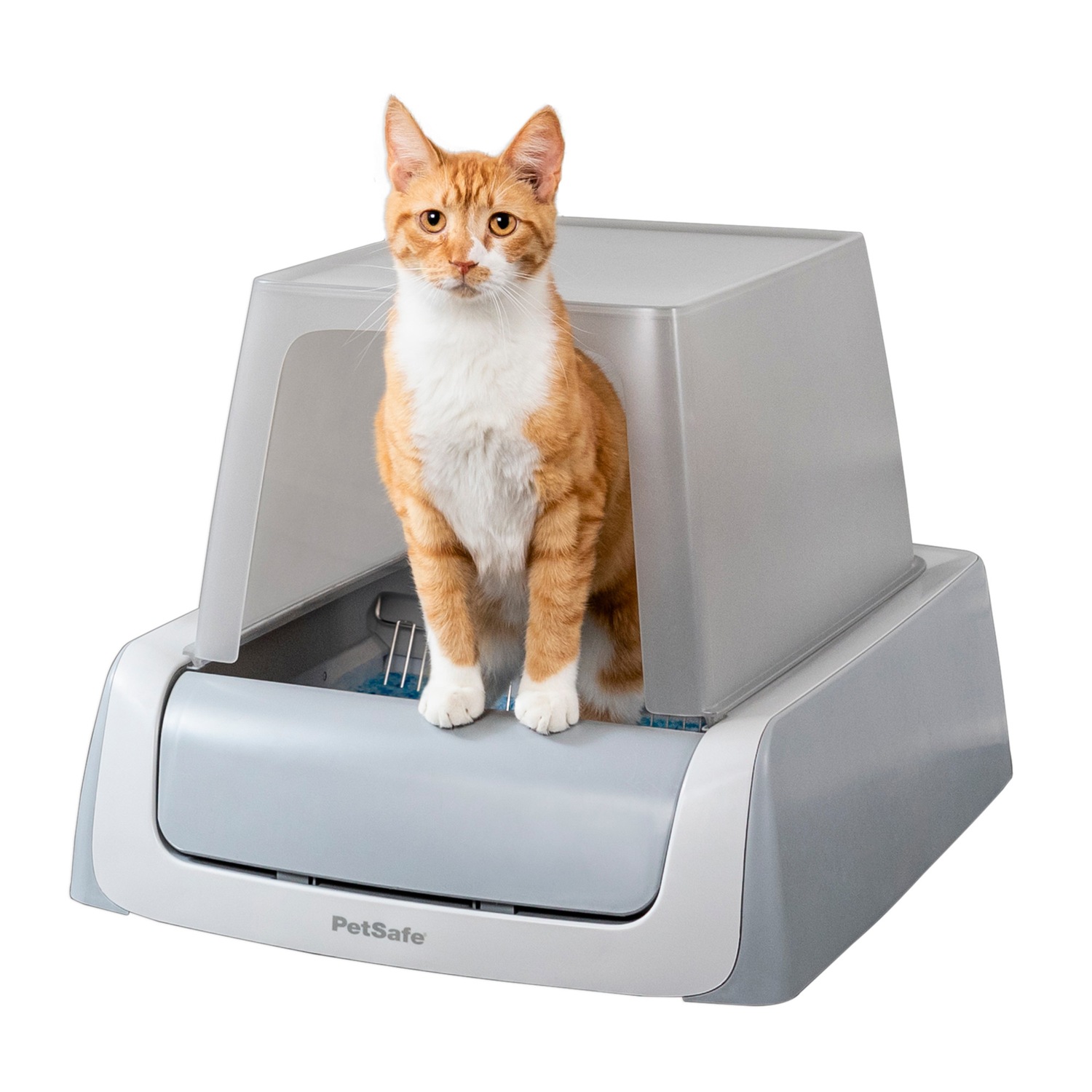 Ginny s PetSafe ScoopFree Ultra 2nd Generation Self Cleaning Litter Box Gray
