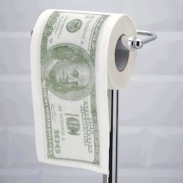 Money Toilet Paper, , large
