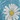 Daisy Quilt, Blue, swatch