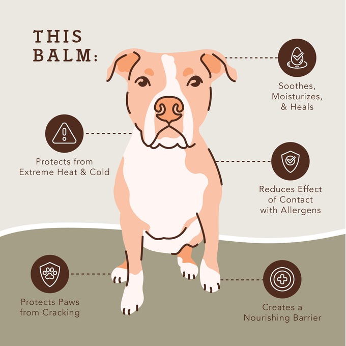 Natural Dog Company 2oz Pawtection, , large