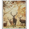Novelty Sherpa Throw, , large