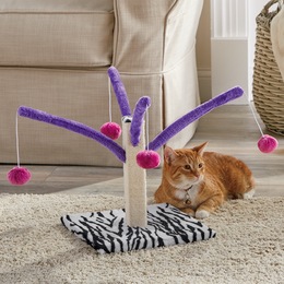 Prevue Pet Bounce &amp;&#35;39;N Spring Scratcher, , large