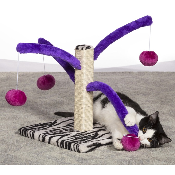 Prevue Pet Products Bounce N Spring Cat Scratcher Ginny S