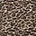 Leopard Print