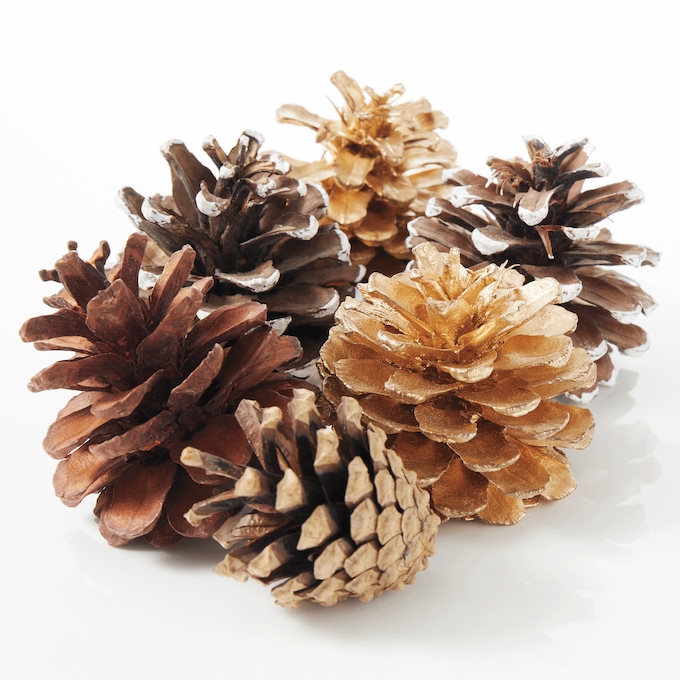 25-Piece Natural Pinecone Filler, , large