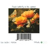 Adult Beginner Paint-by-Numbers Kit, , large