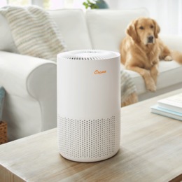 Crane Air Purifier with True HEPA Filter and Replacement Filter, , large