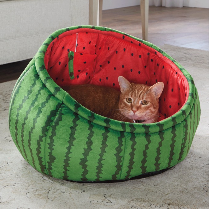 Watermelon cat bed new arrivals