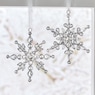 Set of 2 Jeweled Snowflakes, , large