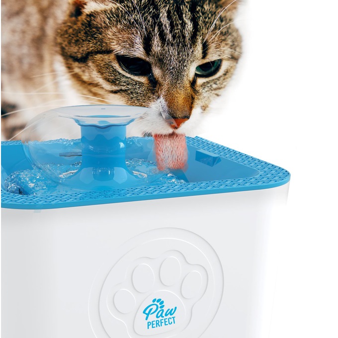 Paw Perfect Water Fountain