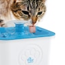 Paw Perfect Water Fountain, , large