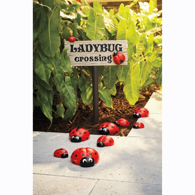 Ladybug Sign & Stones, , large