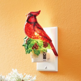 Cardinal Night-Light, , large