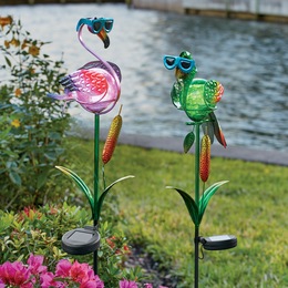 Solar Exotic Bird, , large