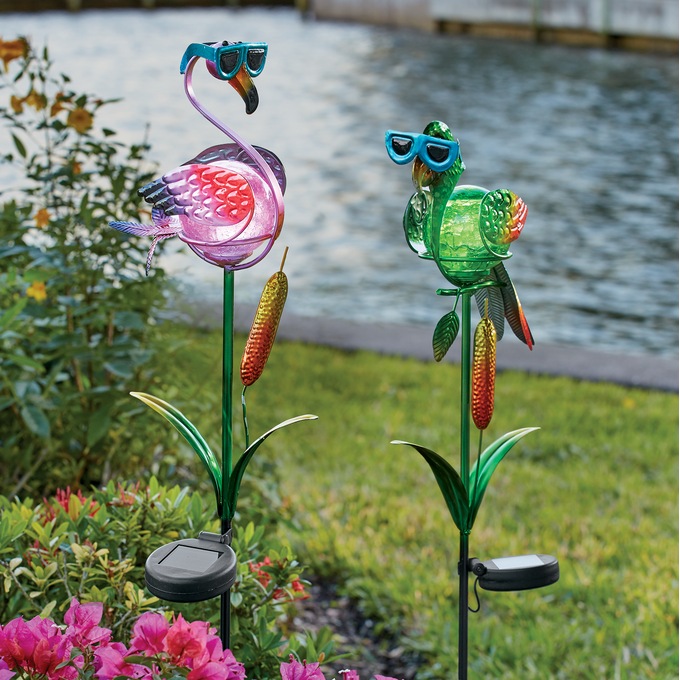 Solar Exotic Bird, , large