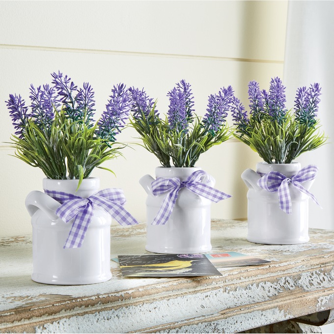 Set of 3 Lavender in Ceramic Pots, , large