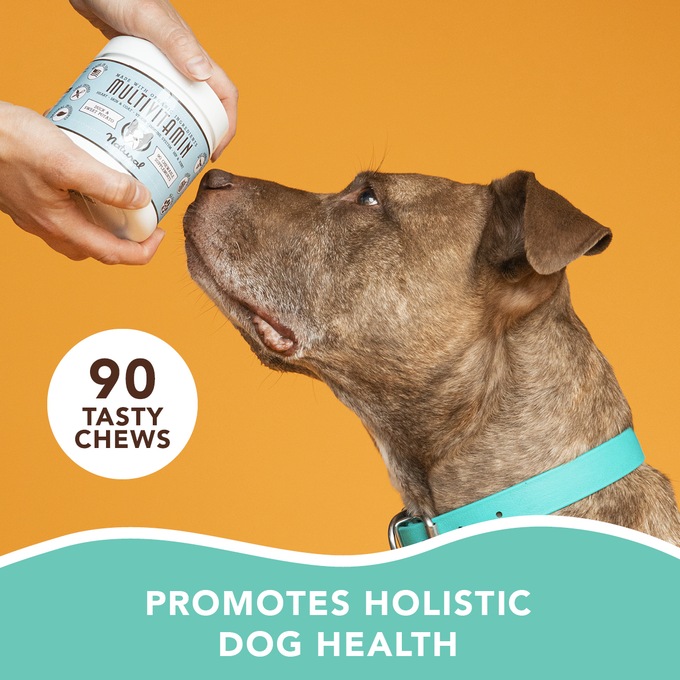Natural Dog Company Multi-Vitamin Supplement, , large