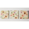 Set of 3 Delilah Canvases, , large