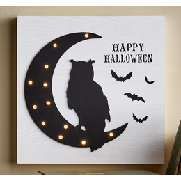 LED Happy Halloween Owl and Moon Tabletop Sign, , large
