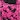 Pink Leopard