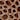 Keychain Wallet Bangle, Brown, swatch