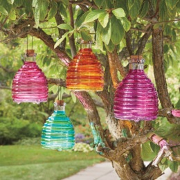 Glass Wasp Trap, , large