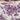 Bedtite Toile Microfiber Sheet Set, Purple, swatch