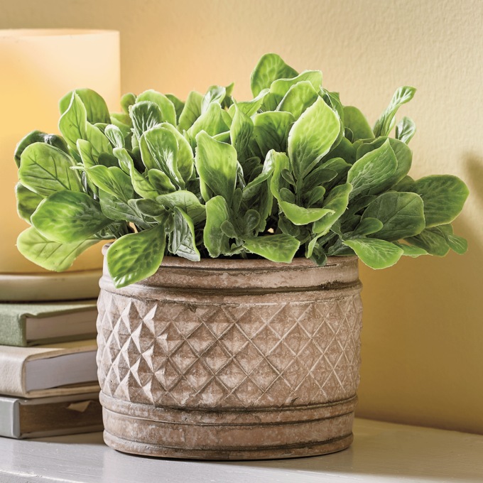 Potted Greenery, , large
