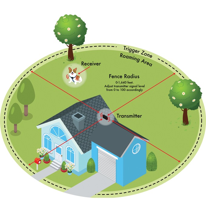 Wireless Dog Fence Ginny S