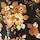 Black Floral