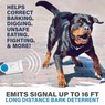Paw Perfect Pet Trainer, , large