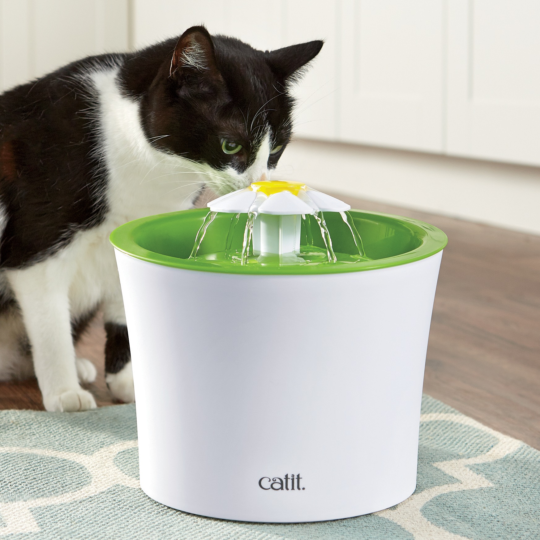 catit flower fountain pump cleaning