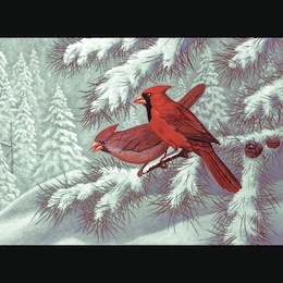 Adult Pre-Printed Paint-by-Number Kit, , large