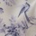 Periwinkle