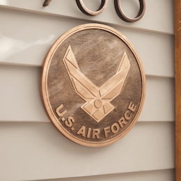 Military Stepping Stone, , large