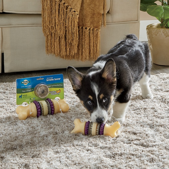 Premier Busy Buddy Bristle Bone - Medium, , large