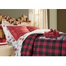 Reversible Printed Down-Alternative Sherpa Blanket, , large