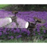 Solar Spotlight, , large