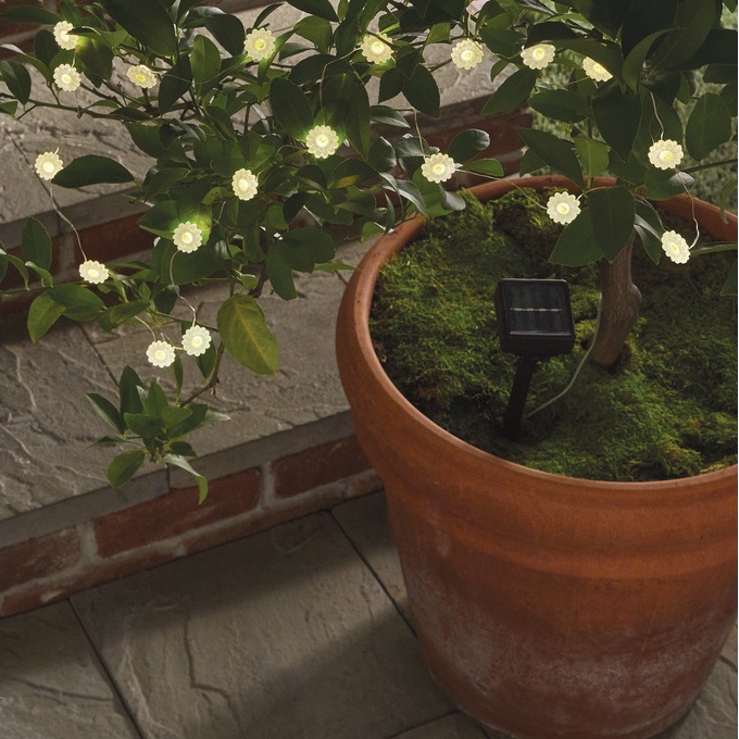 Solar Daisy Chain Stringlights, , large