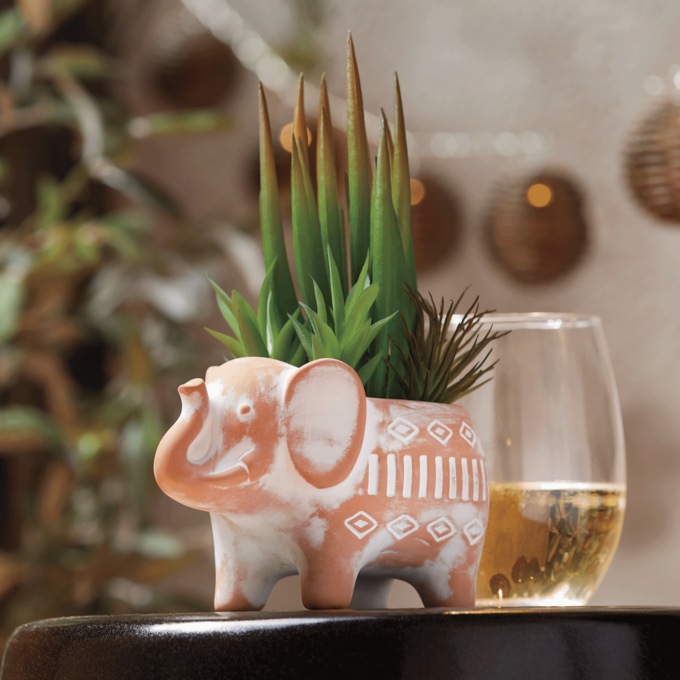 Faux Succulents in Elephant Pot, , large