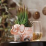 Faux Succulents in Elephant Pot, , large