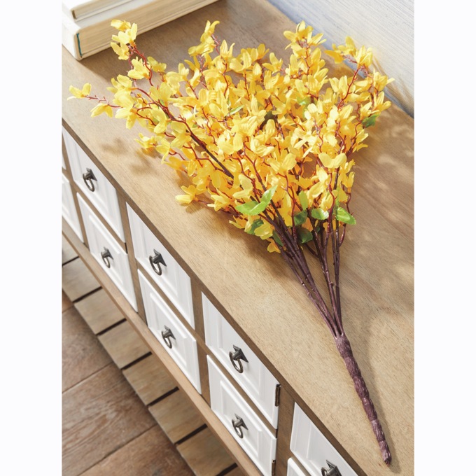 Forsythia Stem, , large